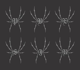 spiderweb theme