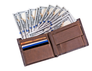 Wall Mural - Dollar banknotes in leather wallet