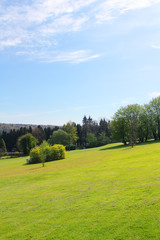 Wall Mural - Golf course