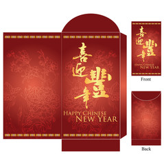 Wall Mural - various size of chinese lunar new year red packet 