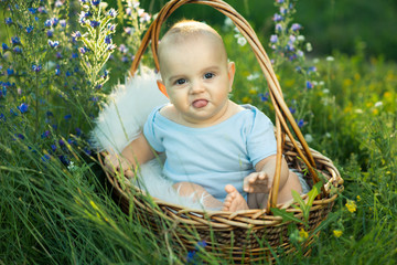 Wall Mural - small smiling child in sliders sitting a basket