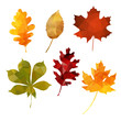Set of fall autumn leaves, polygonal design, vector illustration