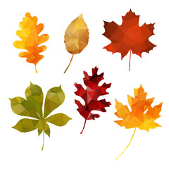 Wall Mural - set of fall autumn leaves, polygonal design, vector illustration