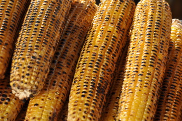 Wall Mural - baked corn