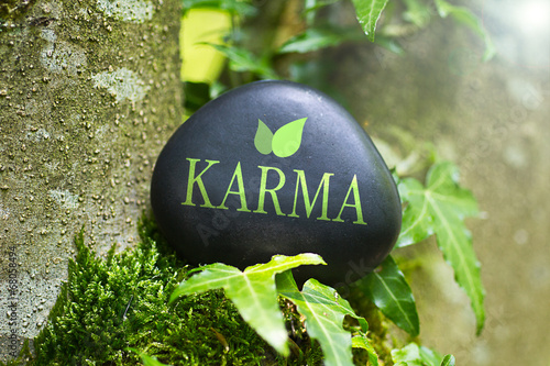 Karma Canvas Print
