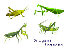 Green Origami Grasshoppers And Mantis