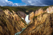 Lower Falls Of The Yellowstone From Artist Point