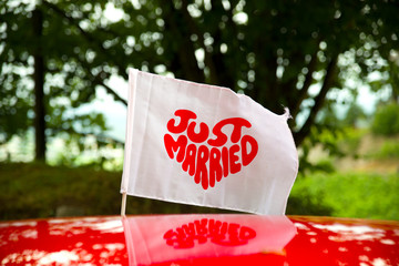 Sticker - Just married