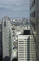 Wall Mural - Shinjuku skyscrapers