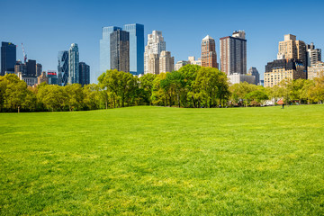 Fototapete - Central park, New York
