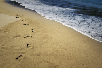 Canvas Print - Foot prints