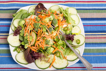 Wall Mural - Fresh Salad with Cucumbers and Peppers