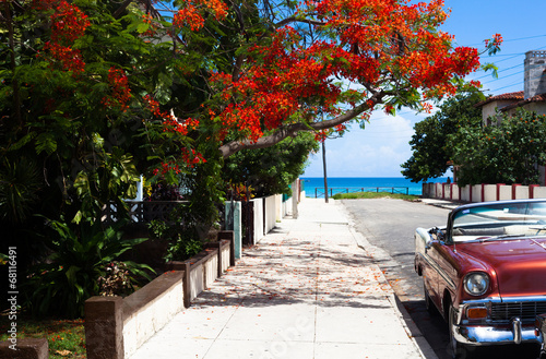 Fototapeta na wymiar Kuba parkender Oldtimer unter einem Baum