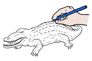 Sticker - Draw crocodile