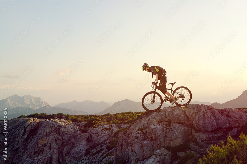 Mountainbiker - obrazy, fototapety, plakaty 