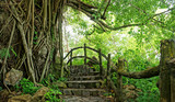 Fototapeta Las - Amazing stone staircase, fence, tree