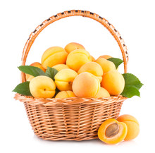 Fresh Apricots In A Basket Isolated On White Background