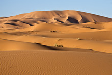 Dune Del Deserto