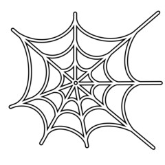 spider net vector