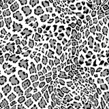 160_f_68193459_hkfdpadru3adstau2knxx4zwpo7czwz7