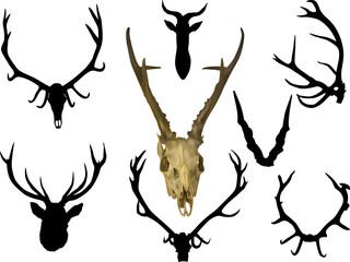 Sticker - collection of eight antler and horns