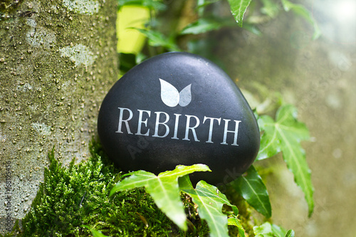 Photo Rebirth