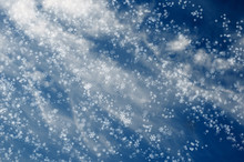 Falling Snowflakes On  Blue Background