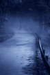 Mysterious Woman Ghost in White Dress in the Misty Road
