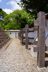 Wall Mural - 掛川城　