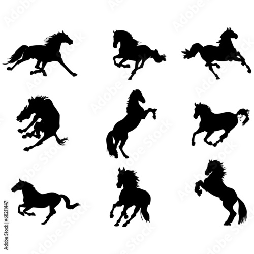 Fototapeta na wymiar horse silhouettes 2