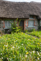 Wall Mural - old traditional Irish cottage with overgrown lawn