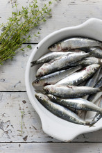 Sardines On Enamelled Tray With Thyme On Rustic Background