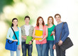 © Syda Productions - group of smiling students standing