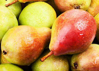 Wall Mural - ripe juicy pears