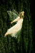 Leinwandbild Motiv Flying fairy