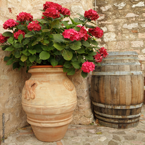 Naklejka na szybę flowering hortensia in elegant ceramic vase in Spello village