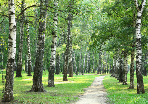 Naklejka samoprzylepna Letni letni park miejski