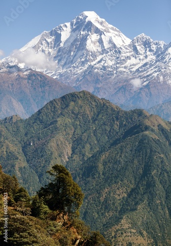 Fotoboard na płycie Widok z góry dhaulagiri - Nepal