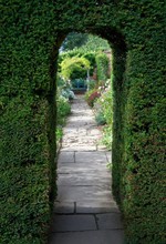 Yew Arch, English Garden