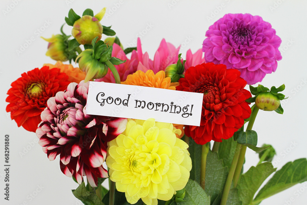 Good morning card with colorful dahlia flowers Stock Photo | Adobe
