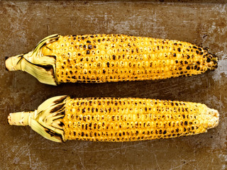 Poster - rustic roasted corncob