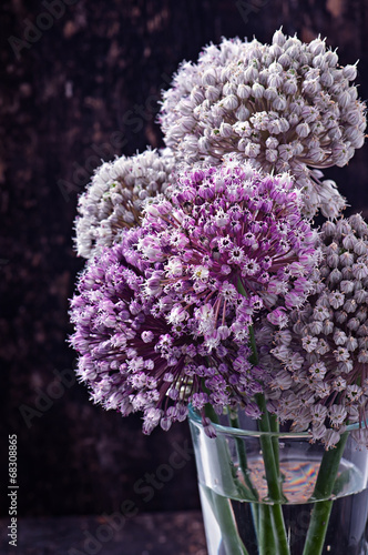 Naklejka - mata magnetyczna na lodówkę Flowers onion on old wooden background