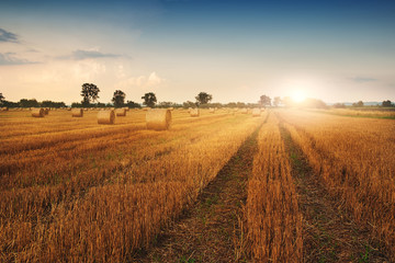 Wall Mural - Bales on the field