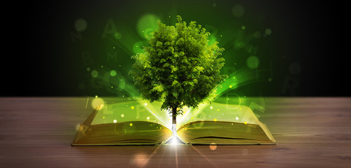 Wall Mural - Open book with magical green tree and rays of light