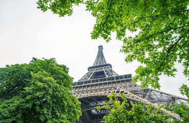 Wall Mural - La Tour Eiffel in Paris surrounded by trees in summer