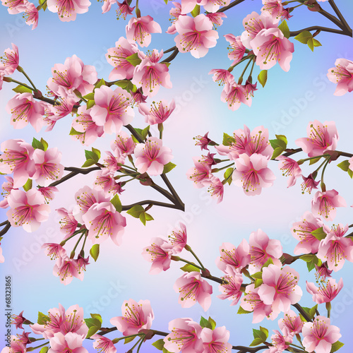 Tapeta ścienna Tło wzór z drzewa sakura