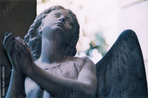 Photographie  angelo