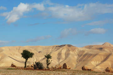 Canvas Print - The day in Judean desert