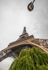 Fototapete - La Tour Eiffel in Paris surrounded by trees in summer