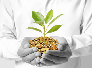 Investing to green business